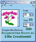 Bougainvillea Bloom Tube