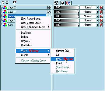 Select Layer View